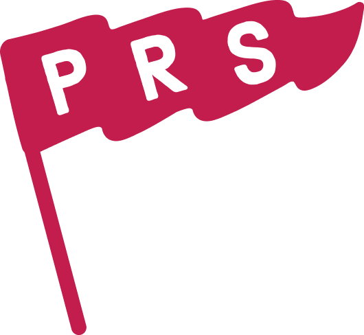 Pink Robot Studio flag logo